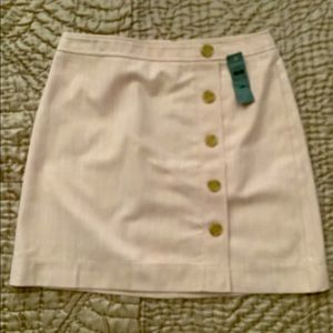 Ann Taylor Blush Skirt size 12P NWT
